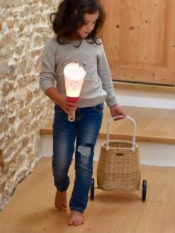 Coffret Lampe Nomade 5 En 1 Petite Fée MAISON POLOCHON Rose - Polochon -Périphériques Pour Enfants coffret lampe nomade 5 en 1 petite fee maison polochon 2